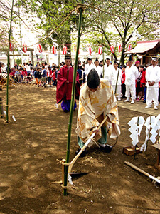 東長岡神明宮のお田植祭