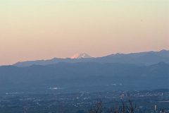 ウォーキング中の風景