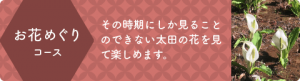 お花めぐりコース